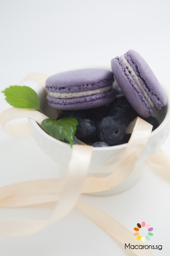 American Blueberry Macarons In Singapore
