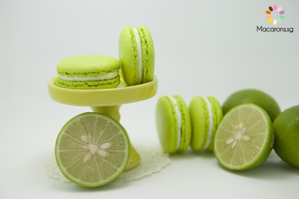 Mexican Key Lime Macarons In Singapore