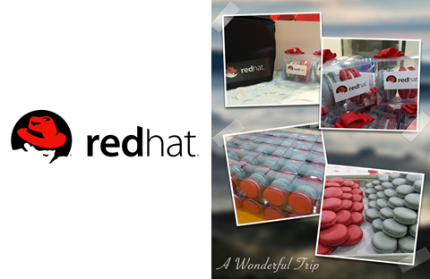 Red Hat Corporate Macarons In Singapore